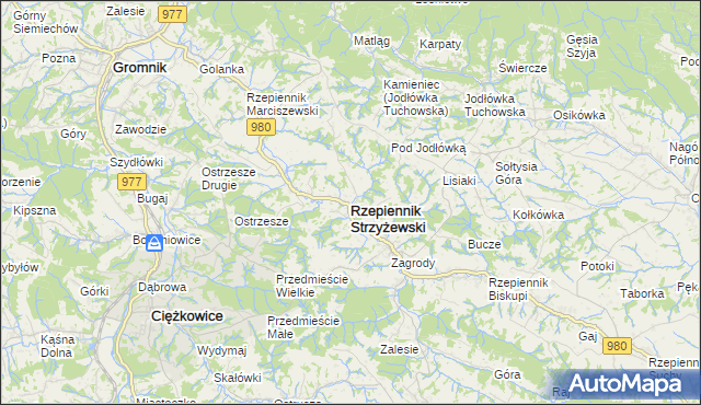 mapa Rzepiennik Strzyżewski, Rzepiennik Strzyżewski na mapie Targeo