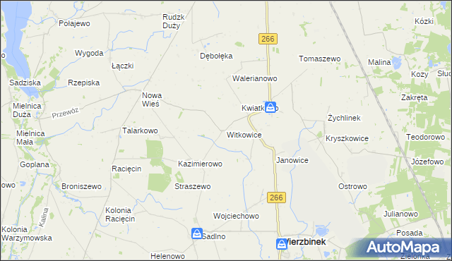 mapa Witkowice gmina Wierzbinek, Witkowice gmina Wierzbinek na mapie Targeo