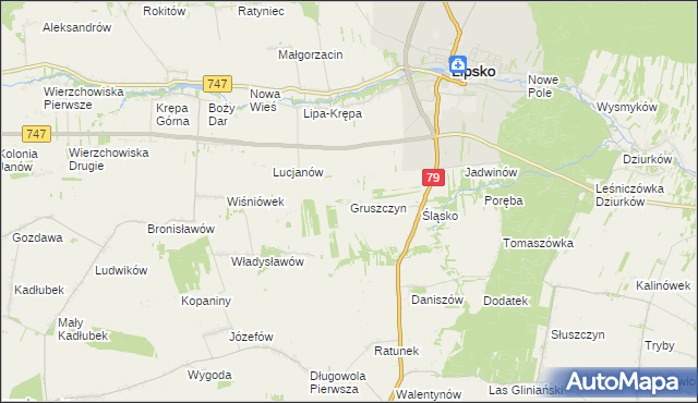 mapa Gruszczyn gmina Lipsko, Gruszczyn gmina Lipsko na mapie Targeo