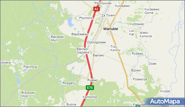 mapa Bąkowo gmina Warlubie, Bąkowo gmina Warlubie na mapie Targeo