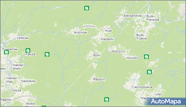 mapa Borki gmina Chlewiska, Borki gmina Chlewiska na mapie Targeo
