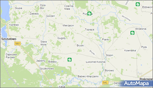 mapa Bryski gmina Rościszewo, Bryski gmina Rościszewo na mapie Targeo