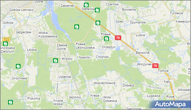mapa Chojnów gmina Piaseczno, Chojnów gmina Piaseczno na mapie Targeo