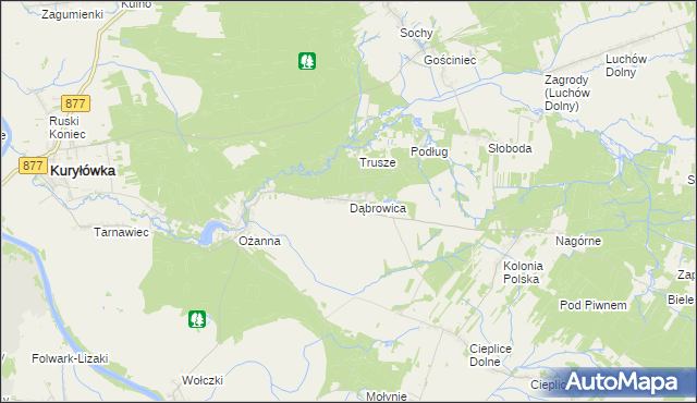 mapa Dąbrowica gmina Kuryłówka, Dąbrowica gmina Kuryłówka na mapie Targeo