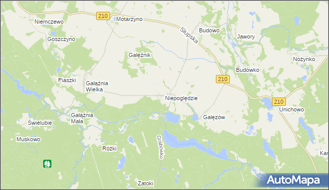 mapa Niepoględzie, Niepoględzie na mapie Targeo