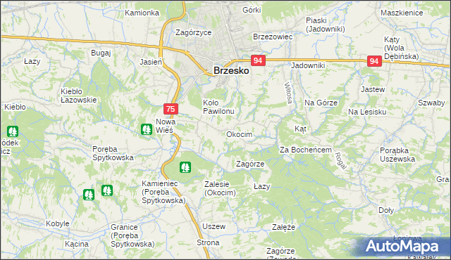 mapa Okocim, Okocim na mapie Targeo