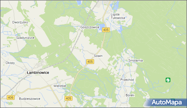 mapa Sowin gmina Łambinowice, Sowin gmina Łambinowice na mapie Targeo