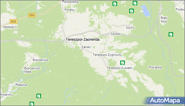 mapa Tereszpol-Zygmunty, Tereszpol-Zygmunty na mapie Targeo