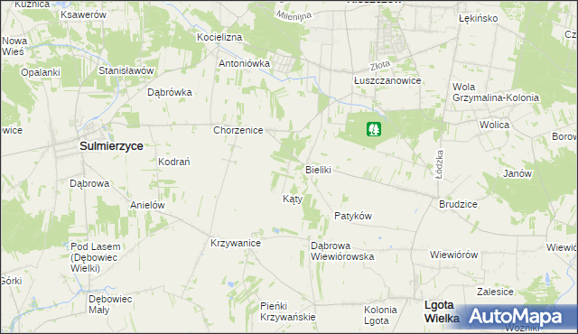 mapa Trzciniec gmina Sulmierzyce, Trzciniec gmina Sulmierzyce na mapie Targeo