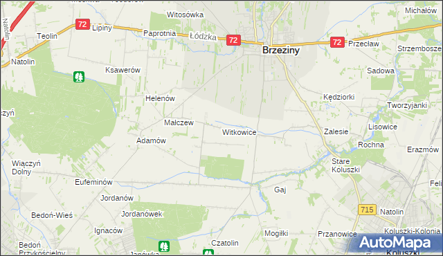 mapa Witkowice gmina Brzeziny, Witkowice gmina Brzeziny na mapie Targeo