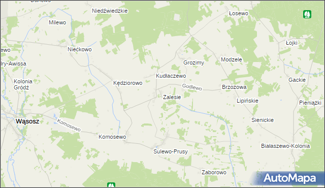 mapa Zalesie gmina Wąsosz, Zalesie gmina Wąsosz na mapie Targeo