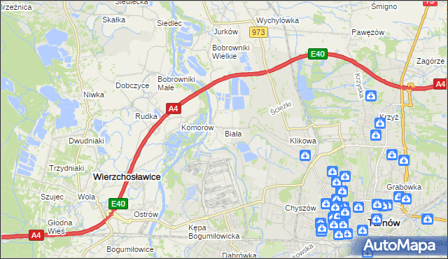 mapa Biała gmina Tarnów, Biała gmina Tarnów na mapie Targeo