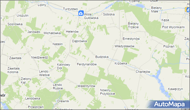 mapa Budziska gmina Adamów, Budziska gmina Adamów na mapie Targeo