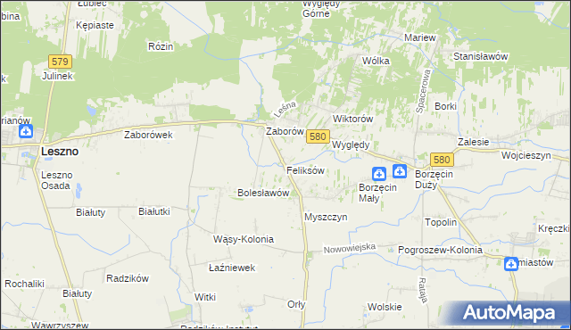 mapa Feliksów gmina Leszno, Feliksów gmina Leszno na mapie Targeo