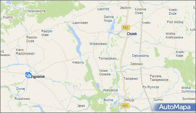mapa Tomaszewo gmina Osiek, Tomaszewo gmina Osiek na mapie Targeo