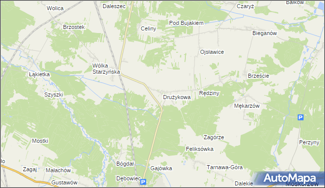 mapa Drużykowa, Drużykowa na mapie Targeo