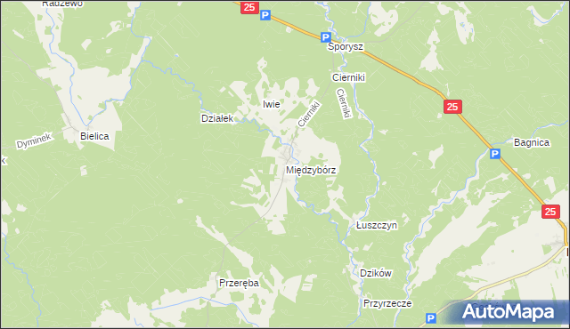 mapa Międzybórz gmina Rzeczenica, Międzybórz gmina Rzeczenica na mapie Targeo