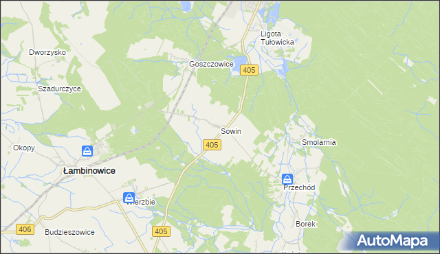 mapa Sowin gmina Łambinowice, Sowin gmina Łambinowice na mapie Targeo