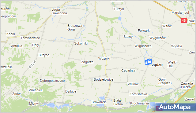 mapa Woźniki gmina Irządze, Woźniki gmina Irządze na mapie Targeo