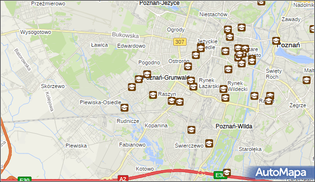 mapa Raszyn gmina Poznań, Raszyn gmina Poznań na mapie Targeo