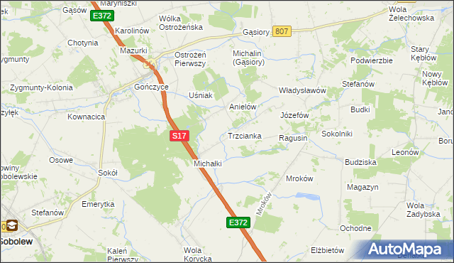 mapa Trzcianka gmina Sobolew, Trzcianka gmina Sobolew na mapie Targeo