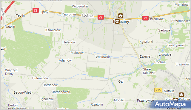 mapa Witkowice gmina Brzeziny, Witkowice gmina Brzeziny na mapie Targeo