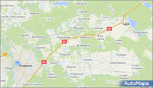 mapa Bolesławów gmina Gostynin, Bolesławów gmina Gostynin na mapie Targeo