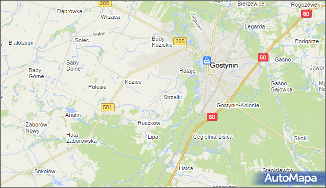 mapa Strzałki gmina Gostynin, Strzałki gmina Gostynin na mapie Targeo