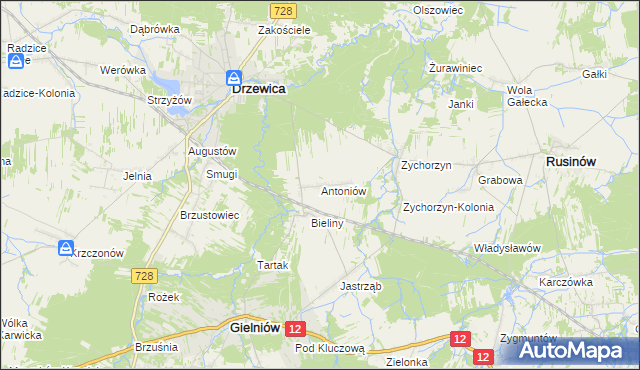 mapa Antoniów gmina Gielniów, Antoniów gmina Gielniów na mapie Targeo