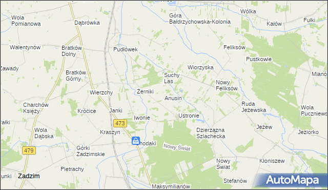 mapa Anusin gmina Zadzim, Anusin gmina Zadzim na mapie Targeo