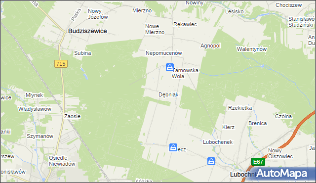mapa Dębniak gmina Lubochnia, Dębniak gmina Lubochnia na mapie Targeo