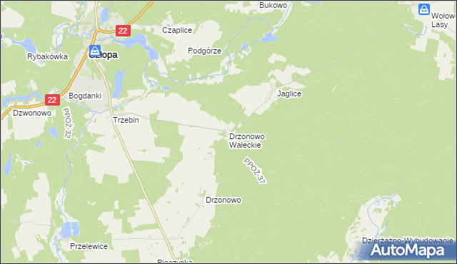 mapa Drzonowo Wałeckie, Drzonowo Wałeckie na mapie Targeo
