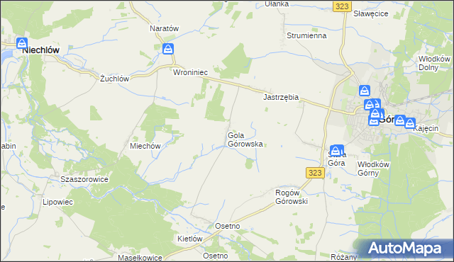 mapa Gola Górowska, Gola Górowska na mapie Targeo