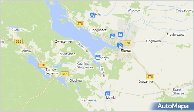 mapa Radzyń gmina Sława, Radzyń gmina Sława na mapie Targeo