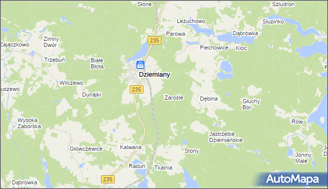 mapa Zarośle gmina Dziemiany, Zarośle gmina Dziemiany na mapie Targeo