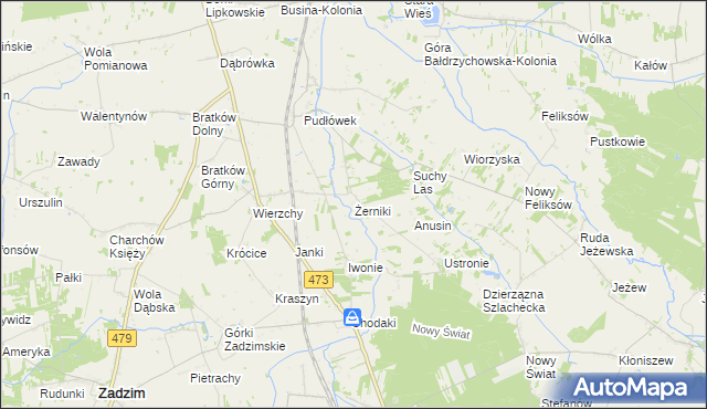 mapa Żerniki gmina Zadzim, Żerniki gmina Zadzim na mapie Targeo