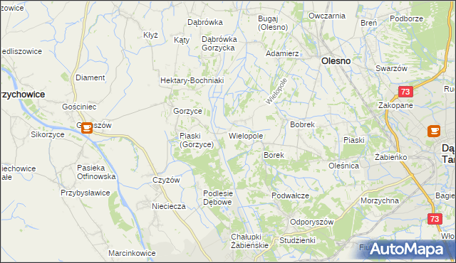 mapa Wielopole gmina Olesno, Wielopole gmina Olesno na mapie Targeo