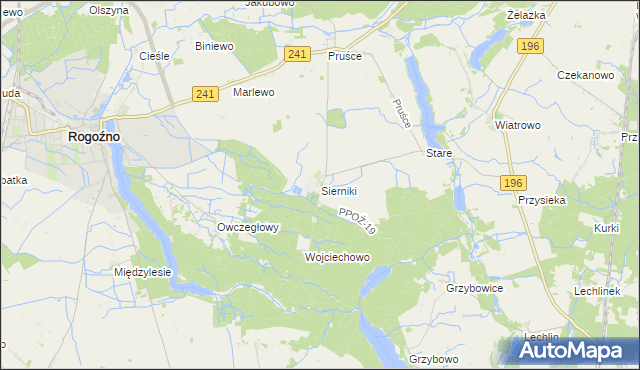 mapa Sierniki gmina Rogoźno, Sierniki gmina Rogoźno na mapie Targeo