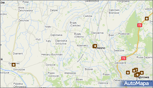 mapa Adamierz gmina Olesno, Adamierz gmina Olesno na mapie Targeo