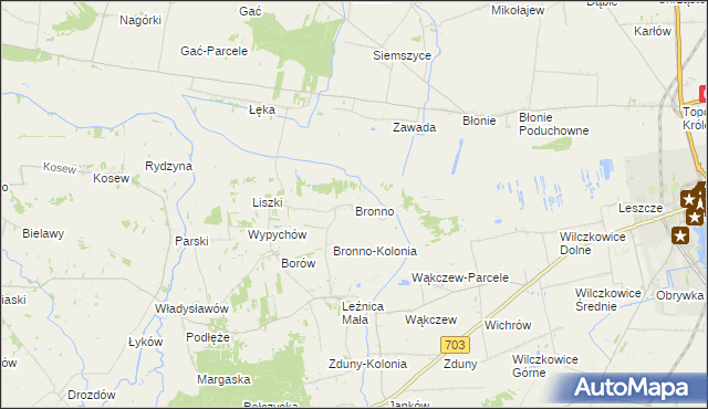 mapa Bronno gmina Łęczyca, Bronno gmina Łęczyca na mapie Targeo