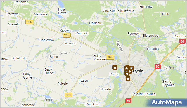 mapa Budy Kozickie, Budy Kozickie na mapie Targeo