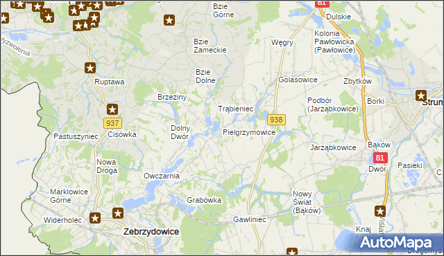 mapa Pielgrzymowice gmina Pawłowice, Pielgrzymowice gmina Pawłowice na mapie Targeo