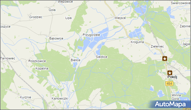 mapa Siedlice gmina Pokój, Siedlice gmina Pokój na mapie Targeo