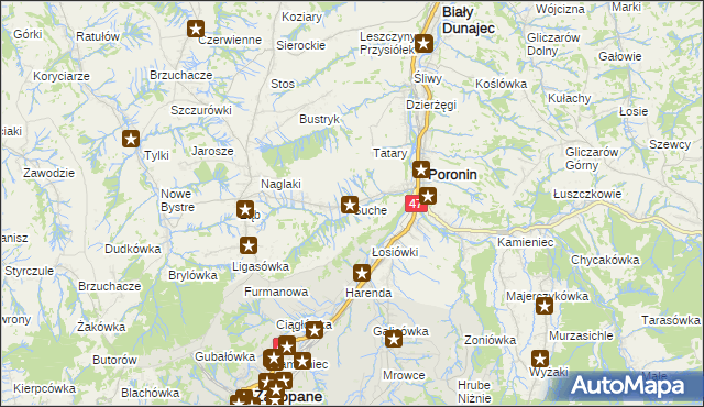 mapa Suche gmina Poronin, Suche gmina Poronin na mapie Targeo