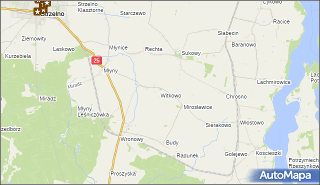 mapa Witkowo gmina Strzelno, Witkowo gmina Strzelno na mapie Targeo