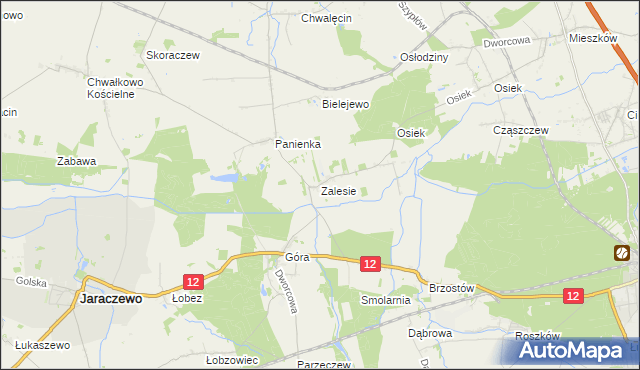 mapa Zalesie gmina Jaraczewo, Zalesie gmina Jaraczewo na mapie Targeo