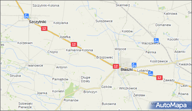 mapa Brzozowiec gmina Błaszki, Brzozowiec gmina Błaszki na mapie Targeo