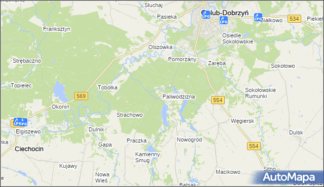 mapa Paliwodzizna, Paliwodzizna na mapie Targeo