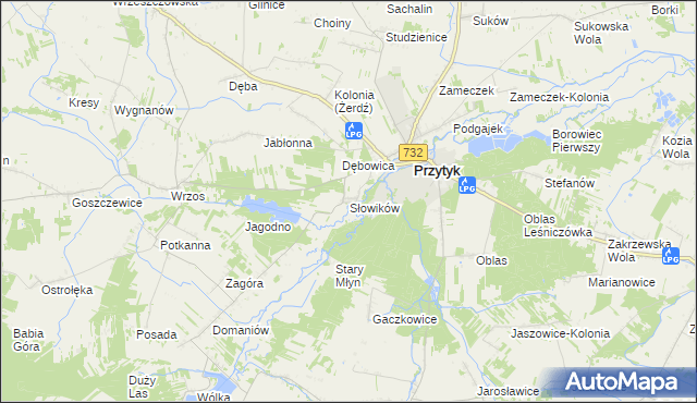 mapa Słowików gmina Przytyk, Słowików gmina Przytyk na mapie Targeo