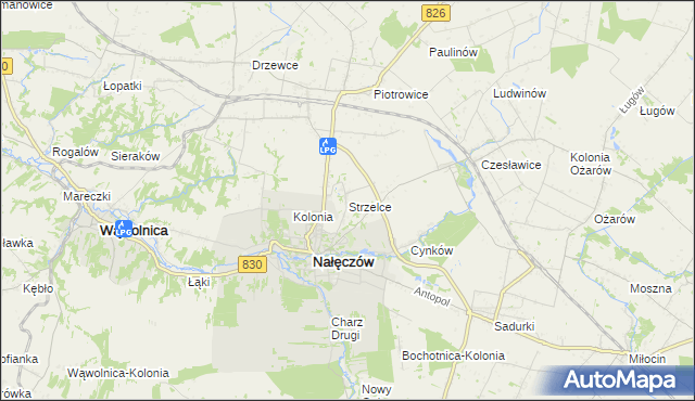 mapa Strzelce gmina Nałęczów, Strzelce gmina Nałęczów na mapie Targeo